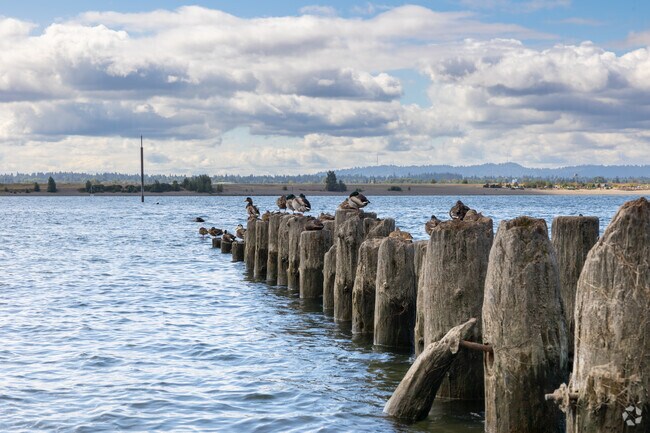 Old pylons reaching into the river provide a convenient seat for ducks in Riverview.