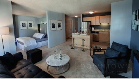 The Lancaster unit 1416, Chicago, IL 60601 - photo 7