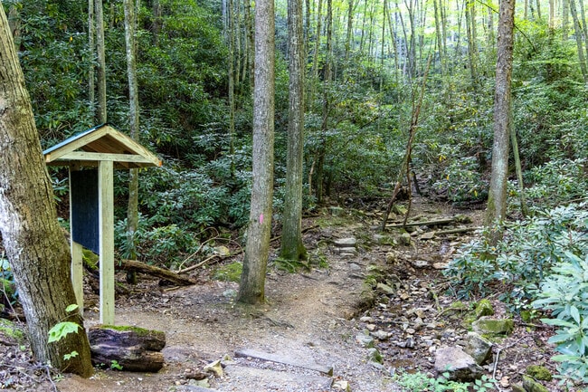 Buffalo Mountain Park offers well maintained hiking and biking trails.