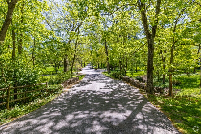 Residential streets in Huntleigh are narrow and shaded with homes set back from the road.