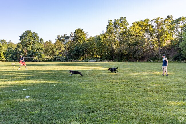 Spend some time with your best friends in Transverse Park.