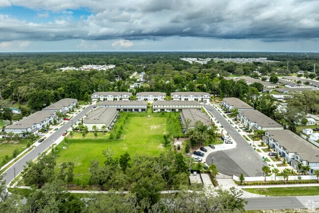 Modern townhomes in southern Zephyrhills South sit near wooded surroundings.