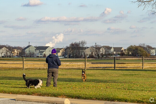 Charles E. Price Memorial Park has a popular dog park among local dog owners.
