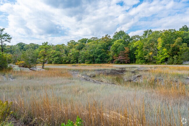 Serene landscape of Guilford showcasing a tranquil marsh with golden tall grass.