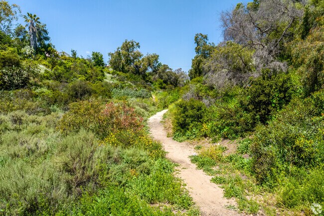 A look at one of the many trails in Swan Canyon.