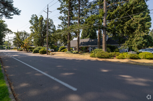Rivercrest's quiet streets are lined with towering trees, perfect for peaceful strolls.