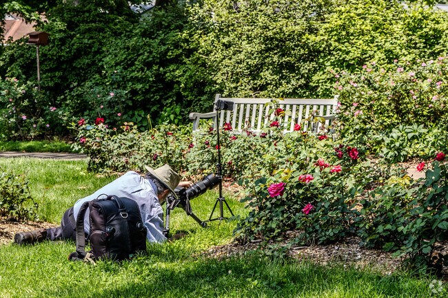 From professional to hobbyist; Clintonville offers many beautiful outdoor photo opportunities.