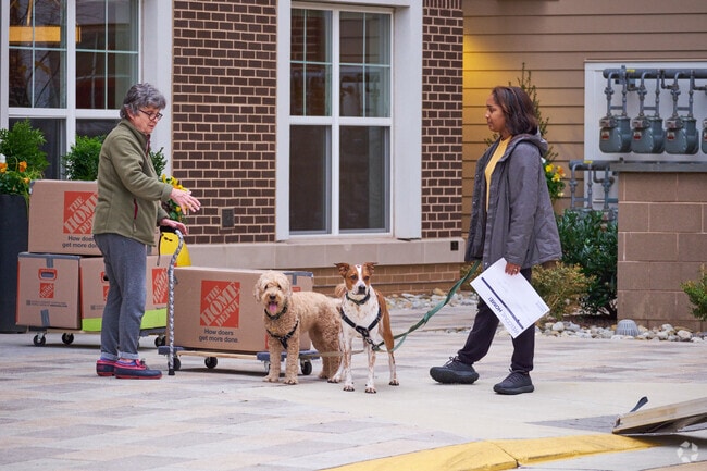 New residents of Kincora and their fur families greet each other at Kincora.