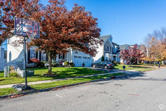 The fall folliage on the trees is quite stunning in Harmony Township, N.J.