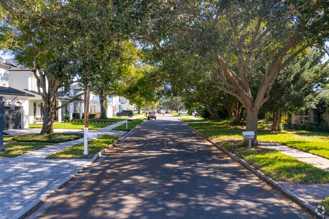 Trees encompass this residential road along Palma Ceia.