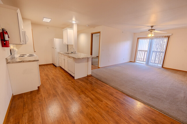 Kitchen and Living Area