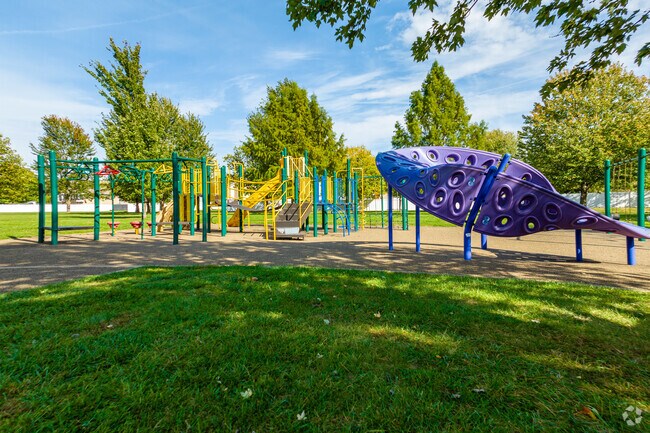 Children delight in the playground area of Drost Park, making it a favorite in the Maryville.