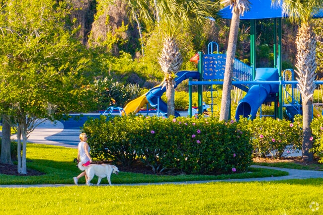 Lee Vista provides plenty of space for walking your dogs.