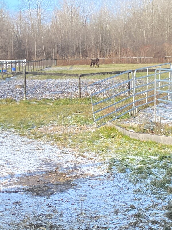 4924 Ny-96, Shortsville, NY 14548 - photo 7