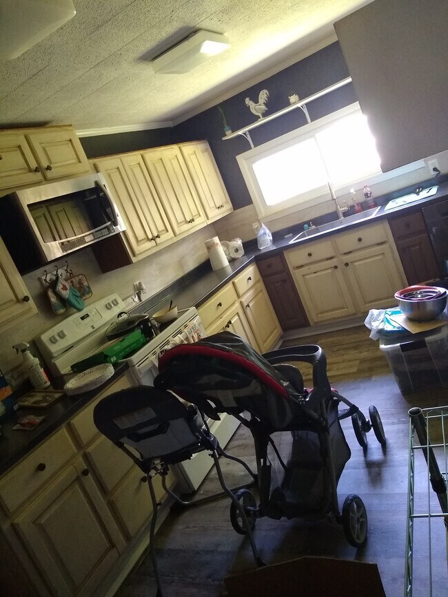 1105 Reynolds Rd, Paragould, AR 72450 - photo 5