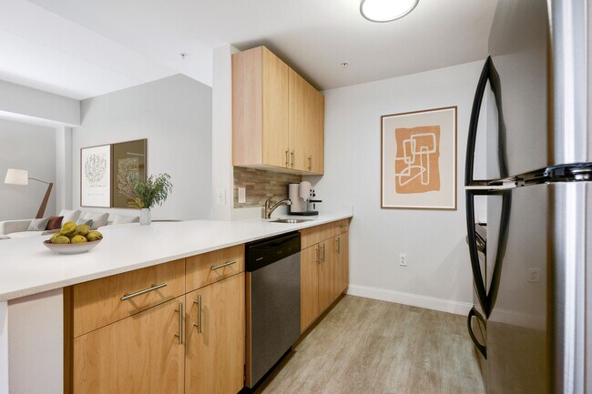 James and Harrison Court, Boston, MA 02118 - photo 4