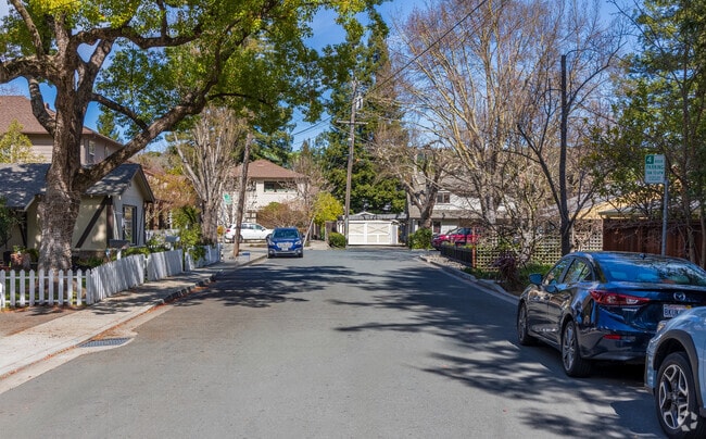 Tree line streets are found throughout the neighborhood in Tanglewood, Lafayette.