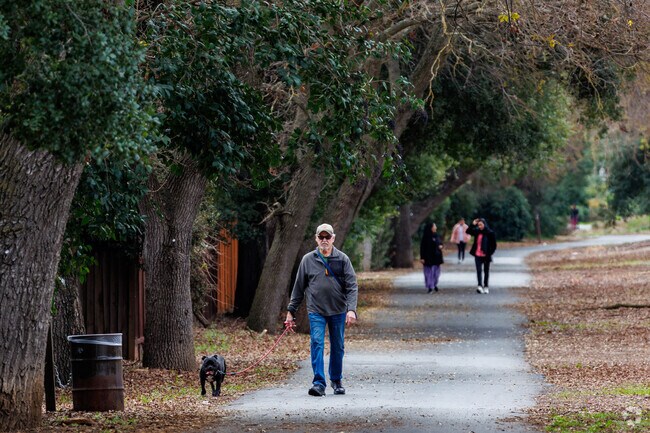 Brooktree North dog owners enjoy easy access to Ygnacio Canal Trail for daily walks and exercise.