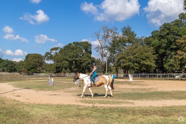 Amazing Gaits Equestrian Center offers horse boarding and riding lessons near Fowl River.