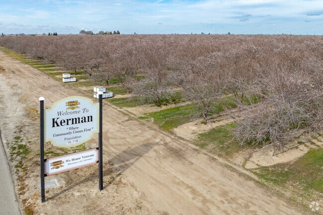 Vast almond orchards surround the borders of Kerman.