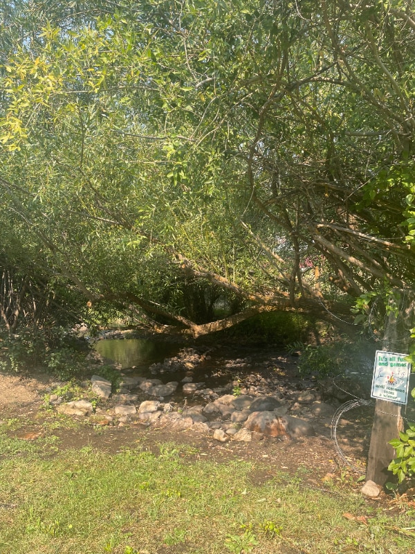 33 E Inman Rd, Inkom, ID 83245 - photo 2