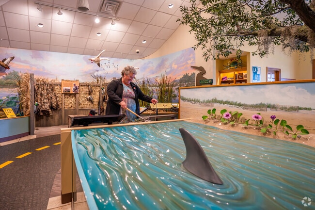 The Creole Nature Center, near Hackberry, offers a hands-on experience.