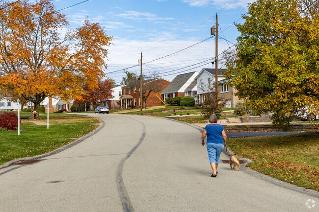 Take a walk through your North Huntingdon neighborhood with your best friend.