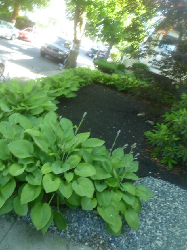 54 Hobson St unit 2, Brighton, MA 02135 - photo 4