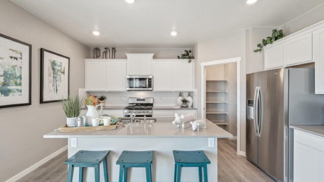 1726 Floating Leaf Dr, Fort Collins, CO 80525 - photo 3