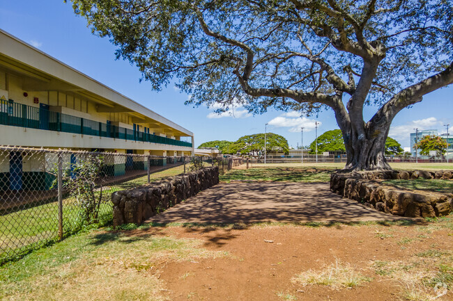A large tree shades a courtyard at Fern Elementary School.