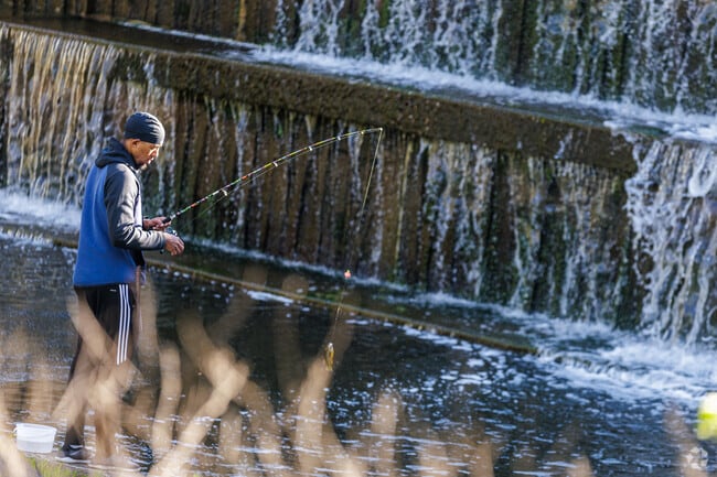 Catch a fish at Wilde Lake dam, but put it back quickly.