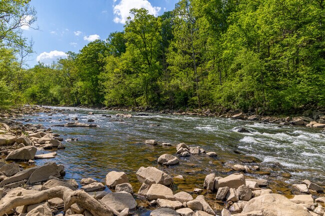 Elizabeth Mills Waterfront, where you can be one with nature in Lansdowne.