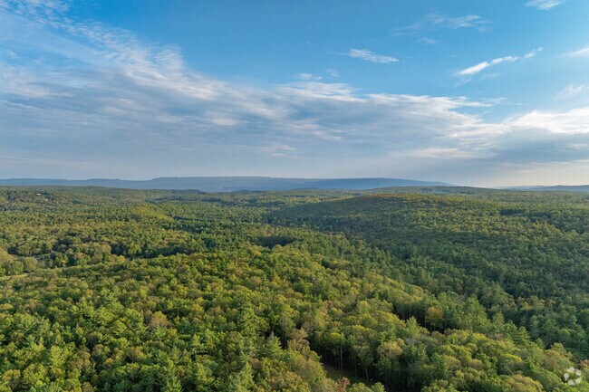Rolling forest hills can be seen all throughout Olive.