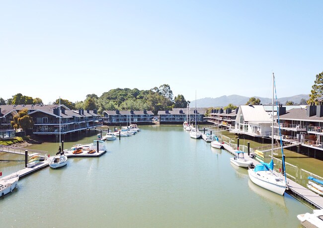 The Cove at Tiburon, Tiburon, CA 94920 - photo 7