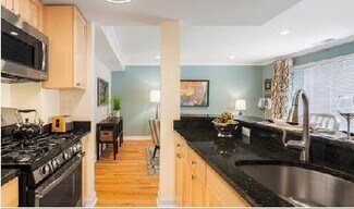 120 Thornton Rd, Chestnut Hill, MA 02467