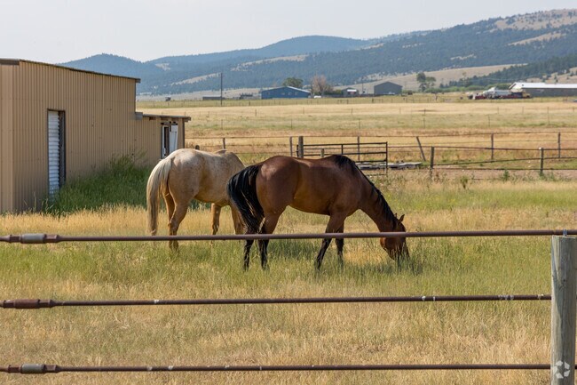 Horses are a big part of the Birdseye landscape.