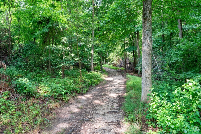 Trails at Greenbelt Park in Greenbelt.