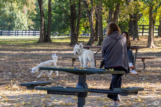 Wellington Dog Park has two large enclosures where your pet can run (or stand on a table).