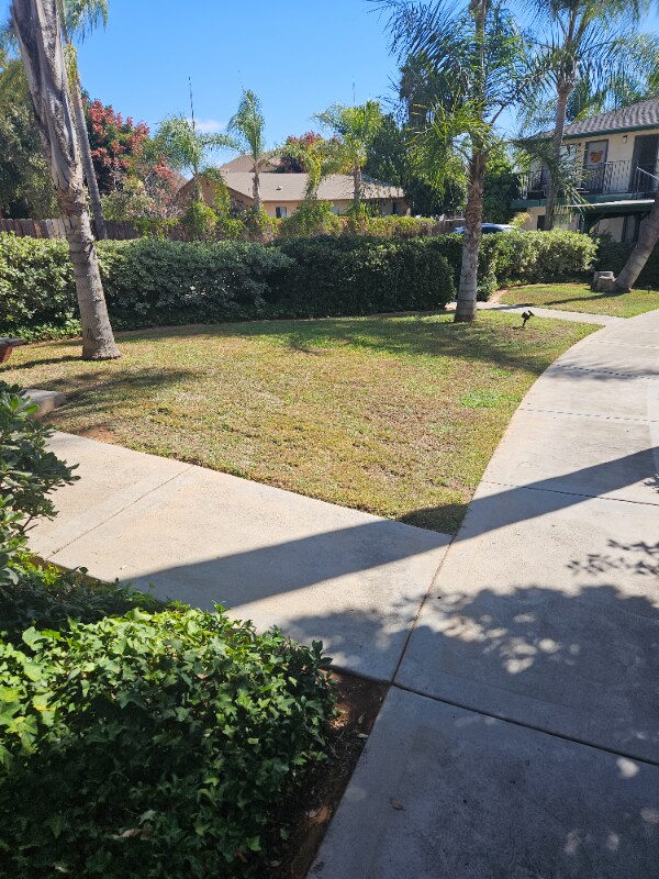 1141 Persimmon Ave unit 13, El Cajon, CA 92021 - photo 6