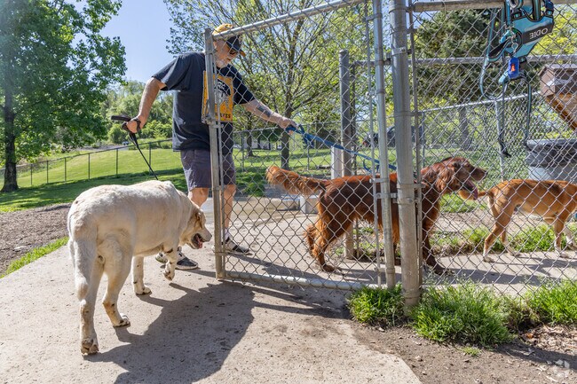 The Dog Park at White Oak Park is always busy every day.