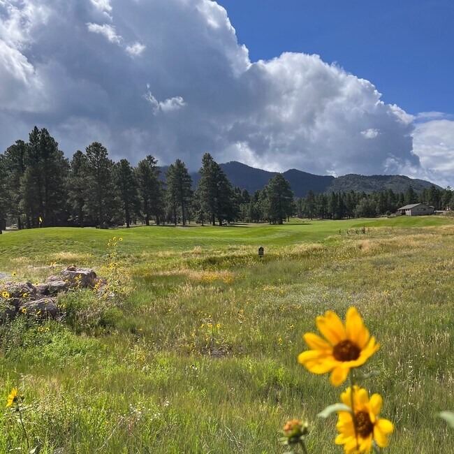 Danielle Worthington