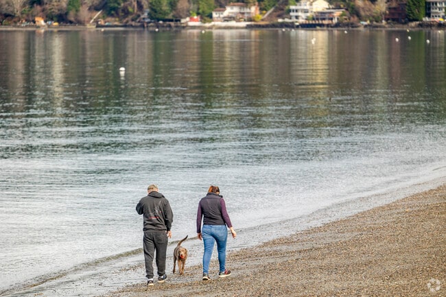 Residents can take a walk with their puppy along the beach in Three Tree Point.