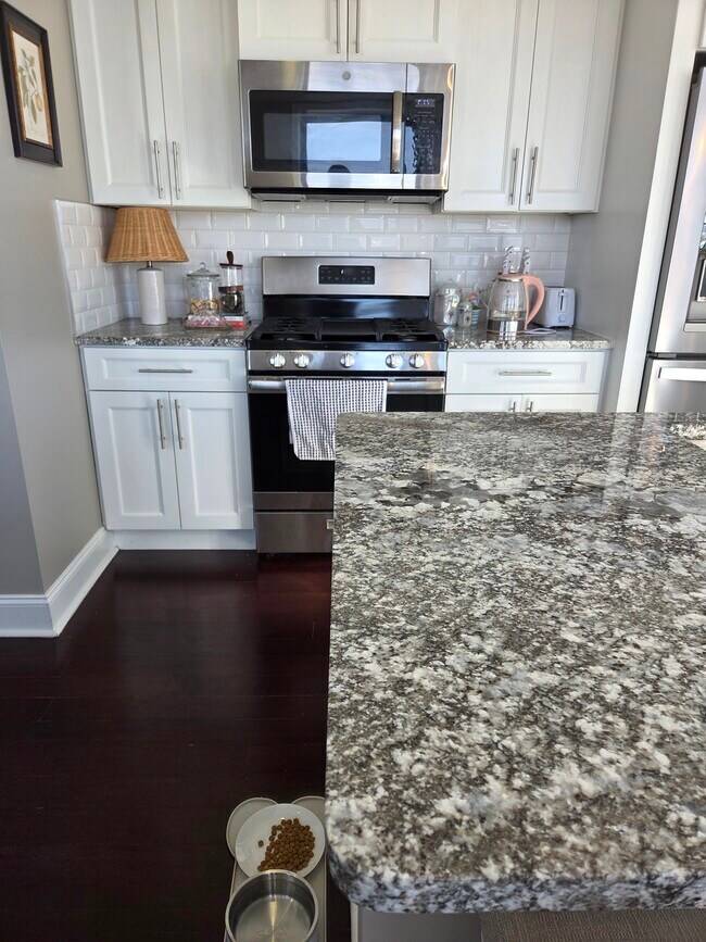 108 N Washington Ave unit 902, Scranton, PA 18503 - photo 4