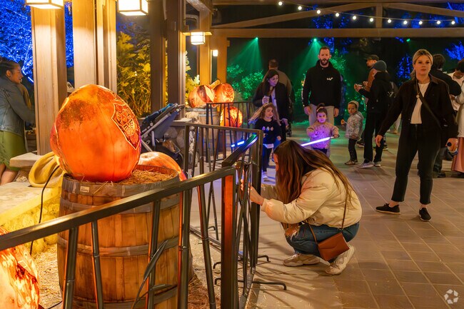 Enjoy a night out in near Montecito park by attending Carved at Descanso Gardens.