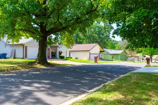 Homes sit in tidy rows along tree-lined streets in Black Jack.