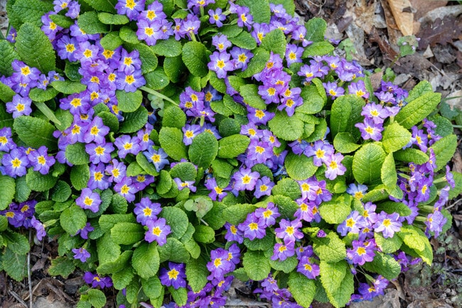 There is so much beauty to explore and experience in the Coker Hills neighborhood.