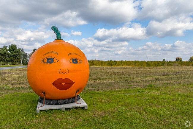 Elk Township is a big farm neighborhood, producing pumpkins, corn and mroe.