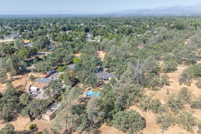 Clover Creek has many mature trees.
