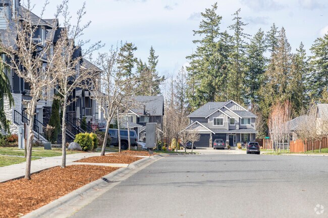 Live amongst the trees in the small community of Tehaleh
Washington.