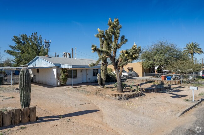 Numerous homes in Barrio Centro feature large, decades-old cactus gardens.
